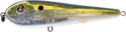 River2Sea ICBM 120 Hard Stickbait/Glidebait -Fishing Equipment 03IKnowIt