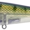 River2Sea ICBM 120 Hard Stickbait/Glidebait