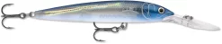 Rapala Down Deep Husky Jerk 10 Deep Diving Jerkbait 32 Rapala Down Deep Husky Jerk 10 Deep Diving Jerkbait -Fishing Equipment 12564593770551