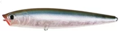 Lucky Craft Gunfish 115 Topwater Walker/Popper -Fishing Equipment 12603014217783