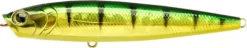 Lucky Craft Gunfish 115 Topwater Walker/Popper -Fishing Equipment 12603014250551