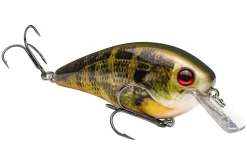 Strike King KVD 4.0 Magnum Shallow Squarebill Crankbait -Fishing Equipment 12721594400823 scaled