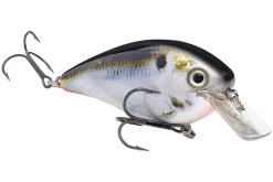 Strike King KVD 4.0 Magnum Shallow Squarebill Crankbait -Fishing Equipment 12721594433591 scaled