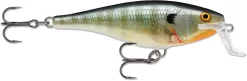 Rapala Super Shad Rap 5 1/2 Inch Crankbait 22 Rapala Super Shad Rap 5 1/2 Inch Crankbait -Fishing Equipment 31321620545625