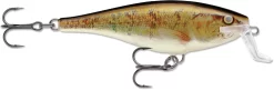 Rapala Super Shad Rap 5 1/2 Inch Crankbait 35 Rapala Super Shad Rap 5 1/2 Inch Crankbait -Fishing Equipment 31321621004377