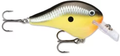 Rapala DT Fat 03 Shallow Square Bill Crankbait -Fishing Equipment 31333941280857 scaled