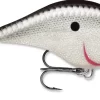 Rapala DT Fat 03 Shallow Square Bill Crankbait