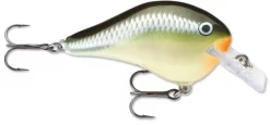 Rapala DT Fat 03 Shallow Square Bill Crankbait -Fishing Equipment 31333941379161 scaled