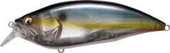 Megabass Big-M 2.0 Magnum Medium Diving Crankbait -Fishing Equipment 32195137044569