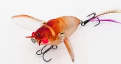 Chasebaits Ripple Cicada 1 3/4 Inch Wakebait Crawler 12 Chasebaits Ripple Cicada 1 3/4 Inch Wakebait Crawler -Fishing Equipment 32233146941529