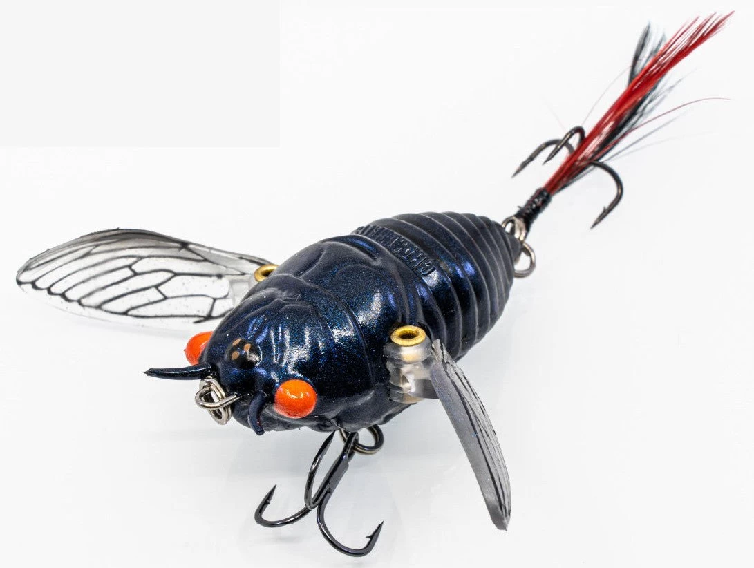 Chasebaits Ripple Cicada 1 3/4 Inch Wakebait Crawler 7 Chasebaits Ripple Cicada 1 3/4 Inch Wakebait Crawler - Image 7