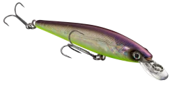 Strike King KVD 100 Series Suspending Shallow Jerkbait -Fishing Equipment 32272586309721