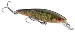 Strike King KVD 100 Series Suspending Shallow Jerkbait -Fishing Equipment 32272586342489