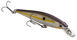 Strike King KVD 100 Series Suspending Shallow Jerkbait -Fishing Equipment 32272586604633