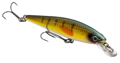 Strike King KVD 100 Series Suspending Shallow Jerkbait -Fishing Equipment 32272586637401