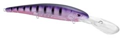 SPRO MadEye Minnow 120 Deep Diving Walleye Trolling Lure 24 SPRO MadEye Minnow 120 Deep Diving Walleye Trolling Lure -Fishing Equipment 32339518750809