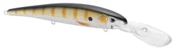 SPRO MadEye Minnow 120 Deep Diving Walleye Trolling Lure 30 SPRO MadEye Minnow 120 Deep Diving Walleye Trolling Lure -Fishing Equipment 32339518947417