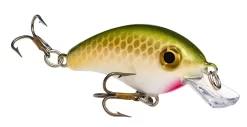 Strike King Pro Model Bitsy Minnow Ultralight Crankbait 25 Strike King Pro Model Bitsy Minnow Ultralight Crankbait -Fishing Equipment 39298391244889