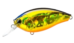 Hardcore Crank 65F 2+ Medium Crankbait -Fishing Equipment 39410750816345