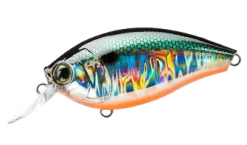 Hardcore Crank 65F 2+ Medium Crankbait -Fishing Equipment 39410750849113