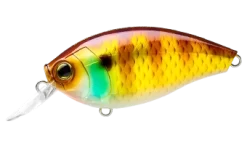 Hardcore Crank 65F 2+ Medium Crankbait -Fishing Equipment 39410750914649