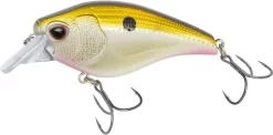 Nomad Design Atlas Squarebill Crankbait -Fishing Equipment 39840471908441