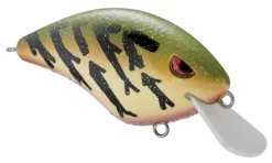 SPRO Speed Demon 55 Crankbait -Fishing Equipment 40302758232153