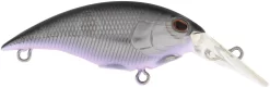 Berkley Money Badger Trolling Plug / Crankbait -Fishing Equipment 40326907199577