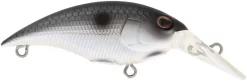 Berkley Money Badger Trolling Plug / Crankbait -Fishing Equipment 40326907494489