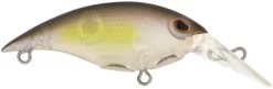 Berkley Money Badger Trolling Plug / Crankbait -Fishing Equipment 40326907625561