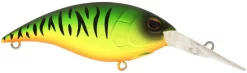 Berkley Money Badger Deep Diving Trolling Plug / Crankbait -Fishing Equipment 40326922862681
