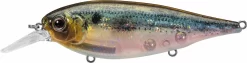 Evergreen International XV-5 X-Over Hybrid Jerk Crankbait -Fishing Equipment 40378015023193