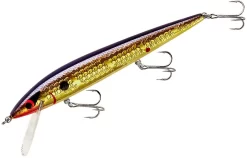 Smithwick Elite 8 Rogue 4 1/2 Inch Suspending Jerkbait -Fishing Equipment ADR4213