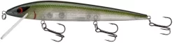 Smithwick Elite 8 Rogue 4 1/2 Inch Suspending Jerkbait -Fishing Equipment ADR4281