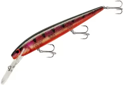 Smithwick Top 20 Rogue 5 1/2 Inch Extra Deep Diving Trolling Minnow/Jerkbait -Fishing Equipment ADRD5294
