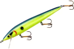 Smithwick Suspending Rattlin' Rogue 4 1/2 Inch Jerkbait/Trolling Minnow -Fishing Equipment ASDRB12197