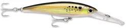 Rapala X-Rap Magnum 10 Big Game Slash Bait 23 Rapala X-Rap Magnum 10 Big Game Slash Bait -Fishing Equipment Bunker 1bf61b5b e2d9 414d 8963 53454fd47462