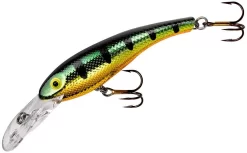 Cotton Cordell Wally Diver Crankbait 37 Cotton Cordell Wally Diver Crankbait -Fishing Equipment CD695