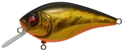 Megabass Knuckle LD Silent Crankbait 2 1/3 Inches 28 Megabass Knuckle LD Silent Crankbait 2 1/3 Inches -Fishing Equipment GG Megabass Kinkuro 87c3d9ee 4b25 4f31 813a a77e3bb707fe