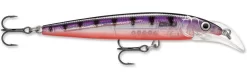 Rapala Scatter Rap Deep Husky Jerk -Fishing Equipment Glass Purple Perch bfb1f09f 8c38 4f9c 83cc a54c6b7bc7b8