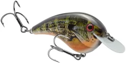 Strike King Chick Magnet Flat Sided Crankbait -Fishing Equipment HCCM 663