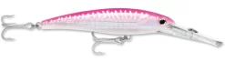 Rapala X-Rap Magnum 40 Big Game Slash Bait 29 Rapala X-Rap Magnum 40 Big Game Slash Bait -Fishing Equipment Hot Pink UV b24b35dc 2fca 4a2a b250 4347bf61c445