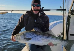 Nomad Design Inshore Spinning Rod 6 Nomad Design Inshore Spinning Rod -Fishing Equipment Inshore Spin