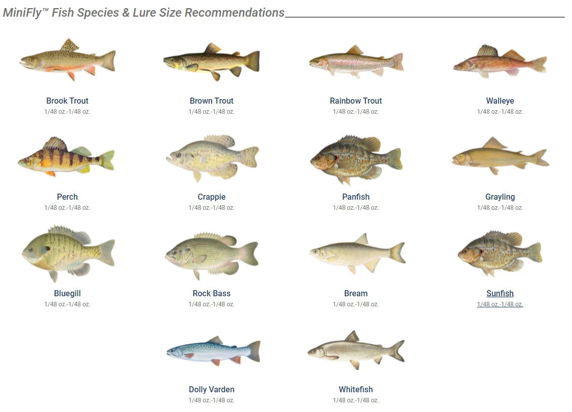 Panther Martin MiniFly 3-Pack Spinner Kit 2 Panther Martin MiniFly 3-Pack Spinner Kit - Image 2