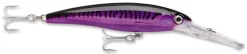 Rapala X-Rap Magnum 10 Big Game Slash Bait 30 Rapala X-Rap Magnum 10 Big Game Slash Bait -Fishing Equipment Purple Mackerel 13af5489 fdac 474f 8fb0 6672207856ee