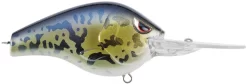SPRO Fat Papa 70 Deep Diving Crankbait -Fishing Equipment SBD70GBY GOBY dd456962 fa34 4711 8dde 7ee06867a9f7
