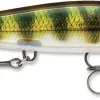 Rapala Shadow Rap 11 Jerkbait