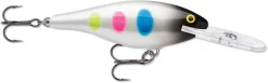 Rapala Shad Rap 1 1/2 Inch Medium Diving Crankbait SR04 -Fishing Equipment SR04BWB ea284faf e20b 4385 b9c9 271e509250bd