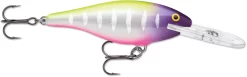 Rapala Shad Rap 3 1/8 Inch Deep Diving Crankbait SR08 -Fishing Equipment SR08MFT 4dbba8aa d3cd 44ee b476 d6ccbc331b7a