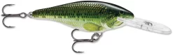 Rapala Shad Rap 3 1/8 Inch Deep Diving Crankbait SR08 -Fishing Equipment SR BB dfbfef76 dc9f 4268 8e99 75dee0bd915f